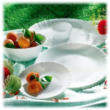 Сервиз столовый Arcopal Feston (19 предметов)